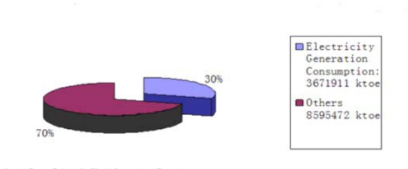 Electricity Energy Consumption Percentage of Total Production in 2008